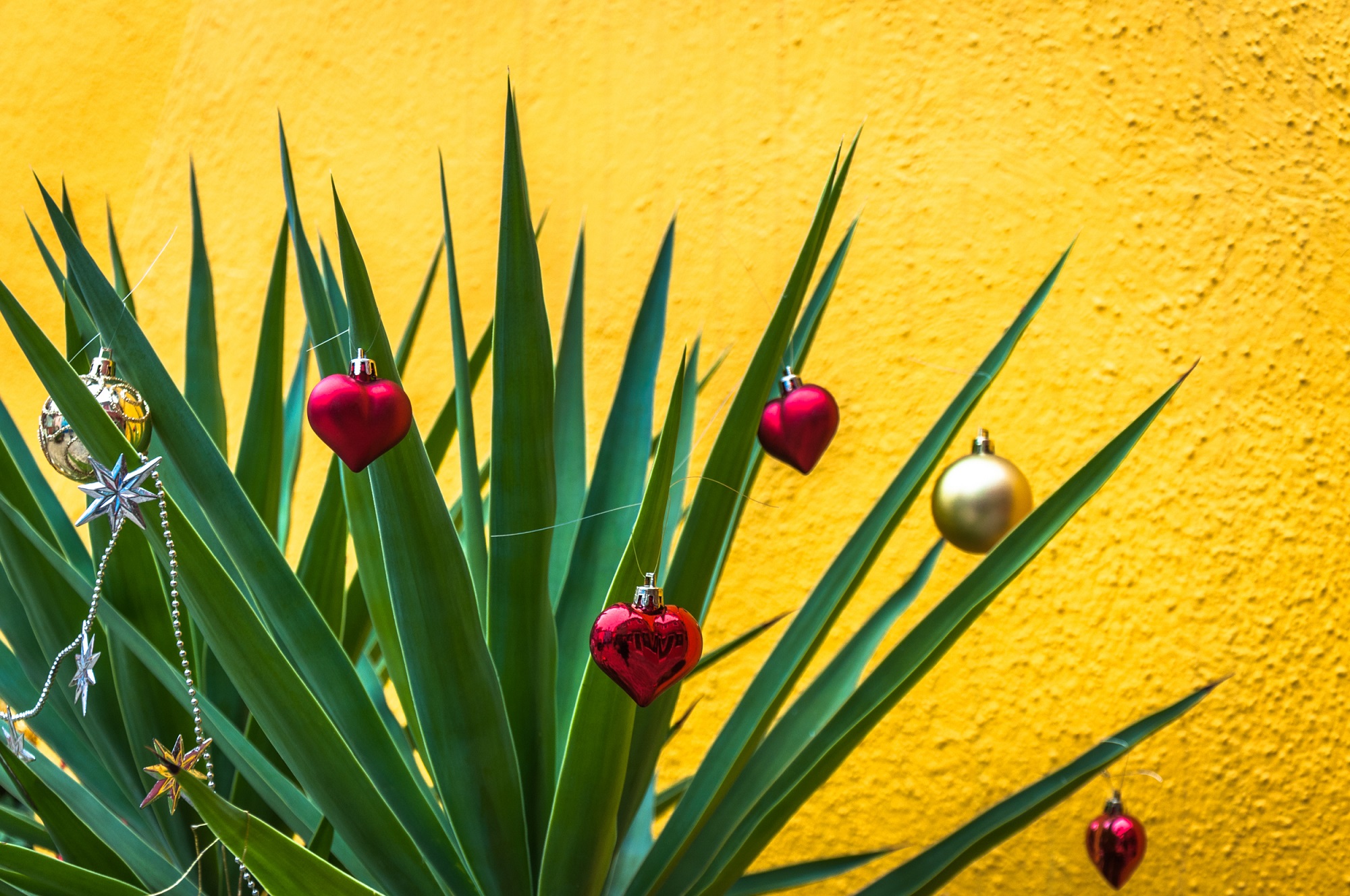 Kaip Kalėdas švenčia arabai ir kodėl ispanai per Naujuosius valgo vynuoges?