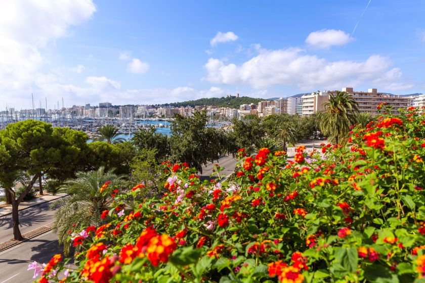 Kur ilsėsimės 2020-aisiais?