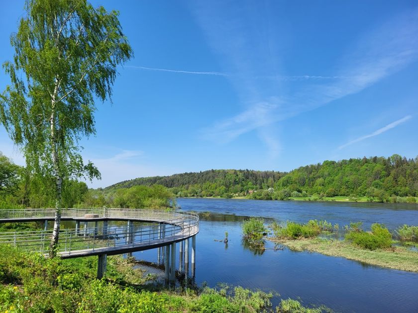 
Nukeliauk vasarą – TOP5 lankytinos vietos Kauno rajone                