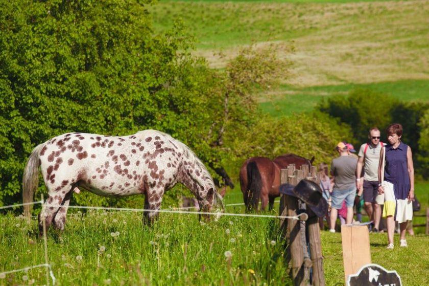 „Pagulbio šeimų festivalis“ kviečia nuotaikingai pažinti paveldą, muziką ir protėvių tradicijas